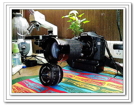 nEO_IMG_1111 (21).jpg