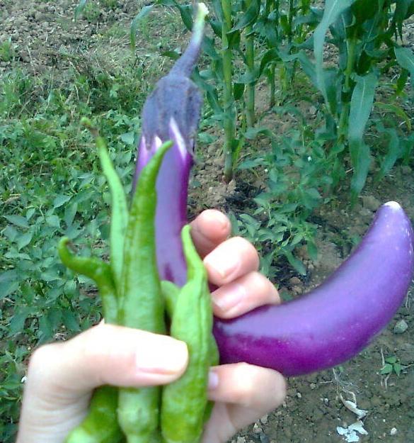 ��ʵ�棢͵�ˣ�