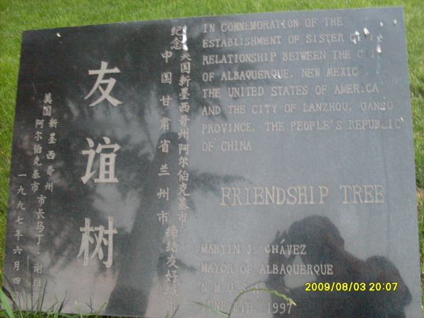 ���ݺ�����������ı���