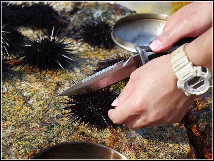 ׼���Ժ���