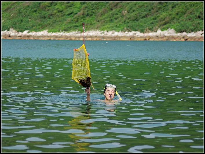 �������Եİ�ϸ