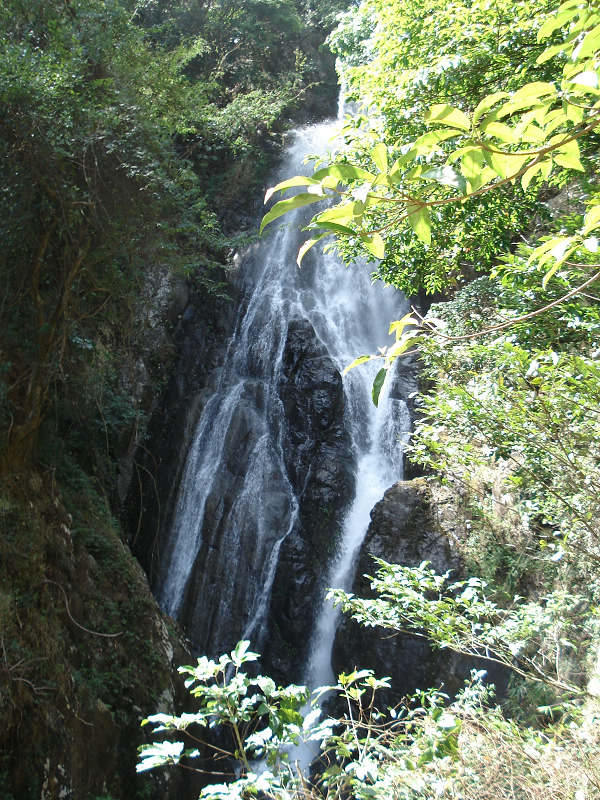 ����ͦ������