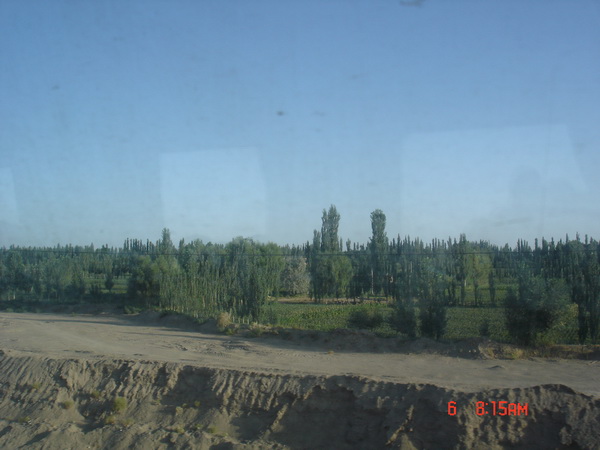 ���ڿ쵽վ��ʱ���ڶػ͵Ľ�����������ɫֲ��