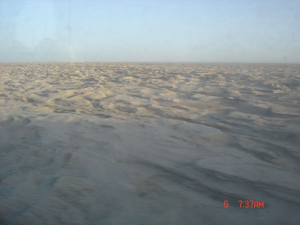 ����ĸ��̲