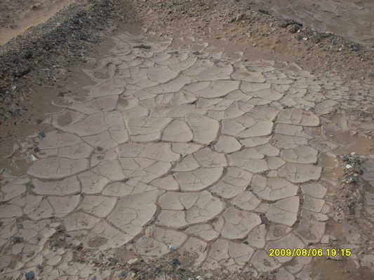 ���ѵĵ���