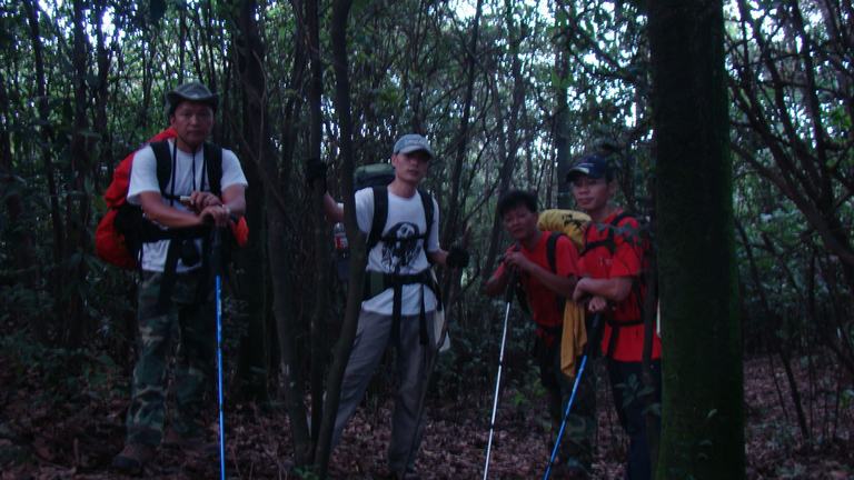 ���²ȵ�  ��֪�ǹ�Ԫ�������Ҷ