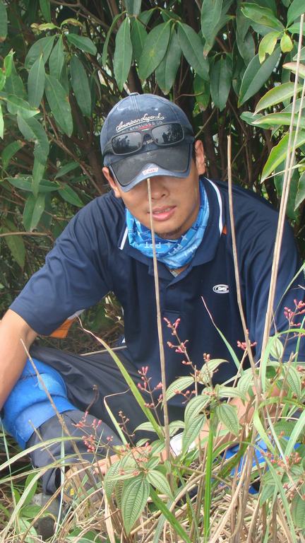 ������ �Լ������ȣ�����