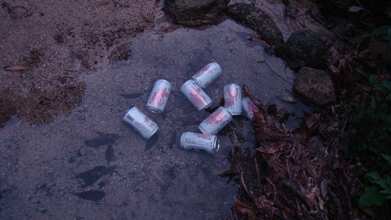 �����ơ��