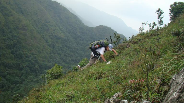 ȫ���ֽŲ��ò��ϵ�