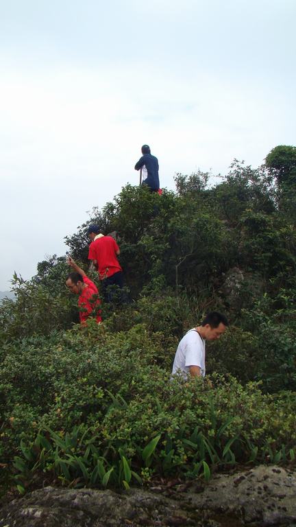 ��˵ �����йŶ� ����Ҳ�������ܲ��ܳɸ�������