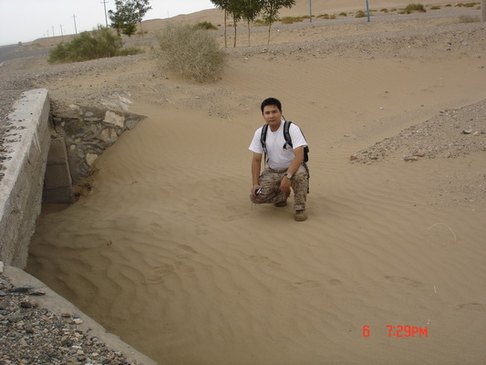 ��������ɳĮ���ˡ�