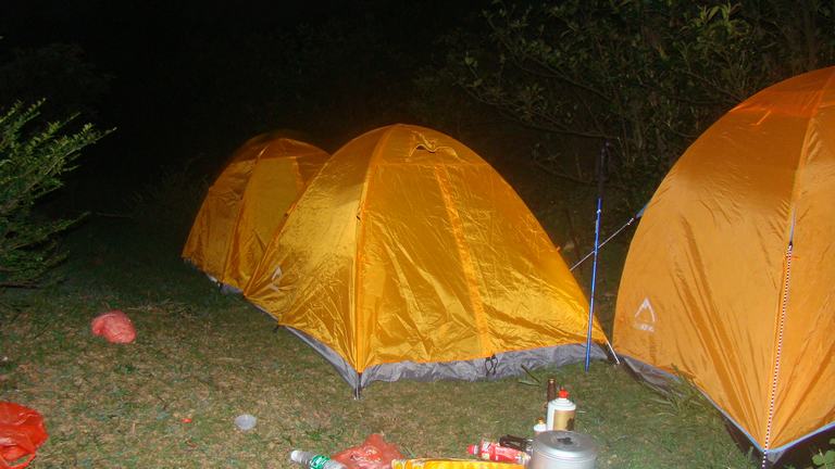 ����  �������𣬣�