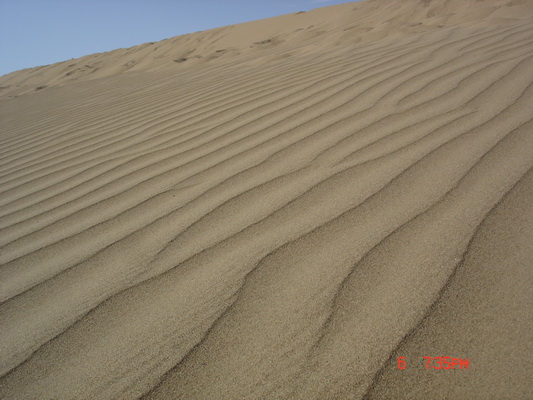 ���γɵ�ɳĮ�Ϸ�ĺۼ���