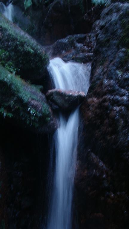 ��������  ��������ô������