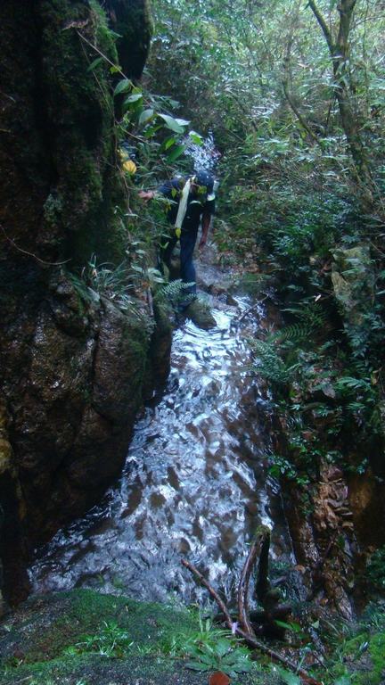 ����  ���������ǰ���ʵ�ȫ�����λε���  ���㻹վ��ס��