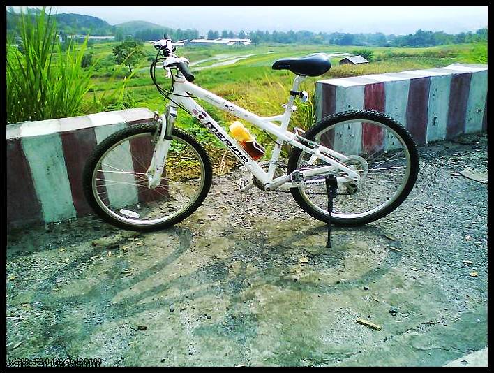 �Ͻ���ɽ��һ·���£�������ʱ����ˬ