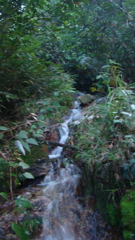 ���µ�ˮ����  ������������  ϴЬ�������