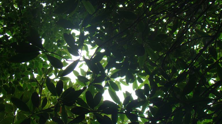 ̧ͷ���� ����  ����