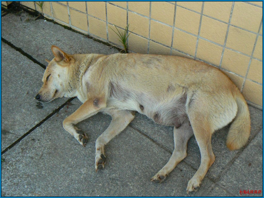 �����㳡������