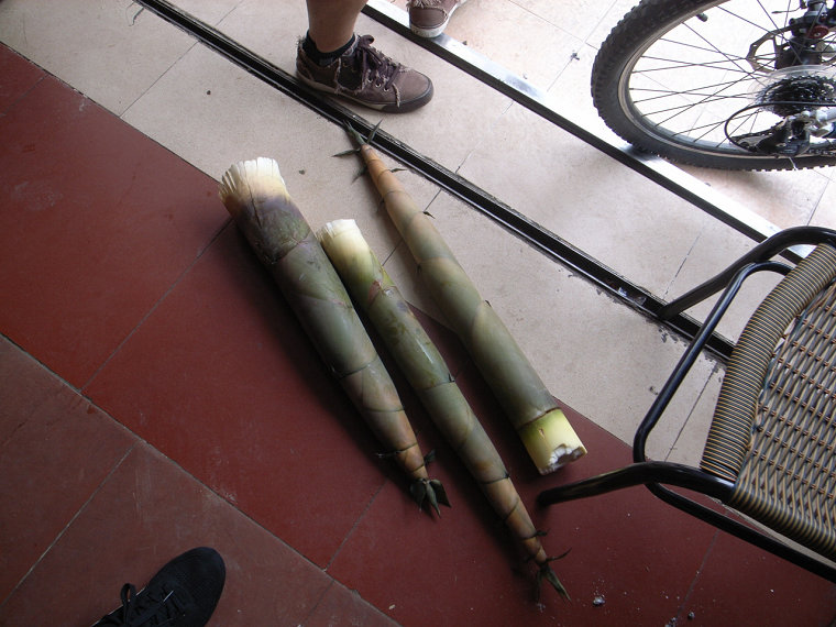 �������Ż�����������