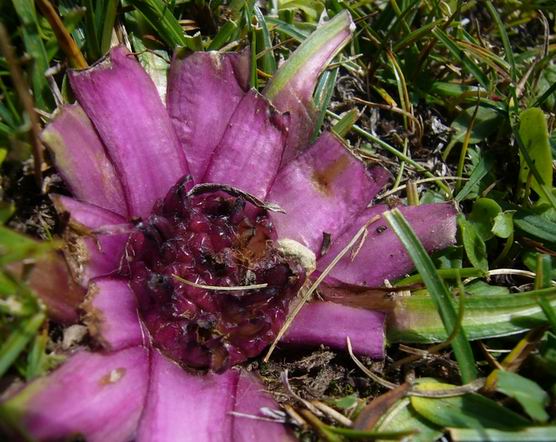 ������С Ұ��.jpg