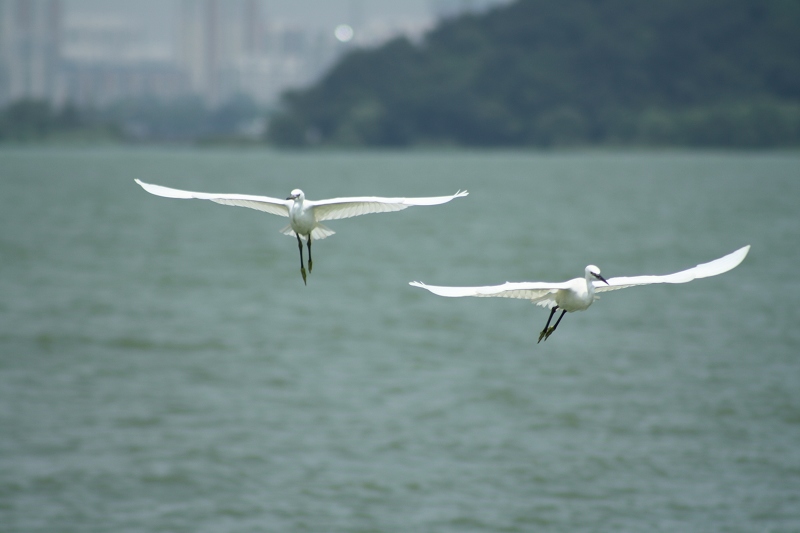 ��Ƭ���� 074.jpg