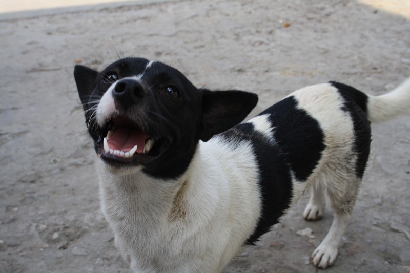 ��Ƭ���� 182.jpg