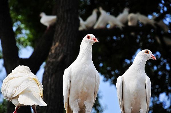 nEO_IMG_nEO_IMG_nEO_IMG_��Ƭ 457.jpg