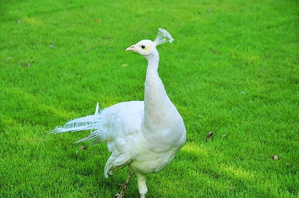 nEO_IMG_nEO_IMG_nEO_IMG_��Ƭ 994.jpg