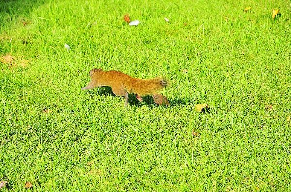 nEO_IMG_nEO_IMG_nEO_IMG_��Ƭ 1001.jpg