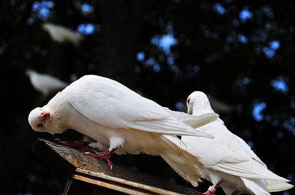 nEO_IMG_nEO_IMG_nEO_IMG_��Ƭ 458.jpg