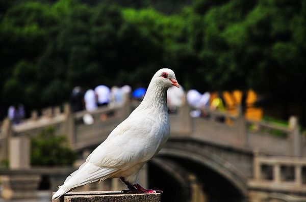 nEO_IMG_nEO_IMG_nEO_IMG_��Ƭ 520.jpg