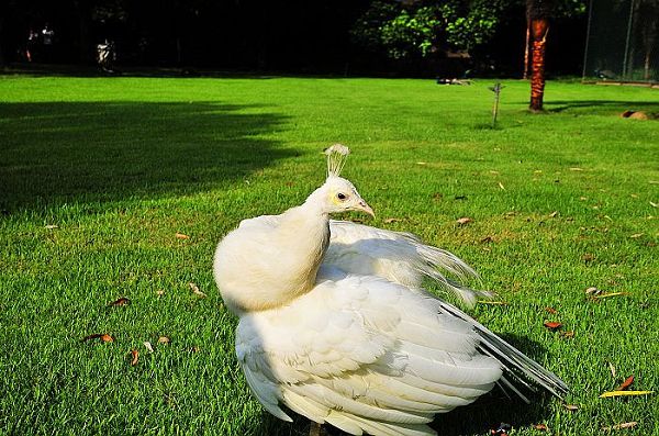 nEO_IMG_nEO_IMG_nEO_IMG_��Ƭ 998.jpg