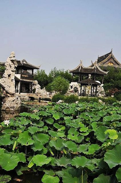 nEO_IMG_nEO_IMG_nEO_IMG_nEO_IMG_��Ƭ 799.jpg