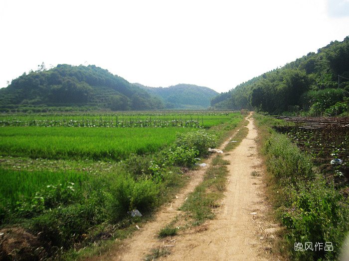 һ�춼ԽҰ�������������ɽ�ص���Ȥ