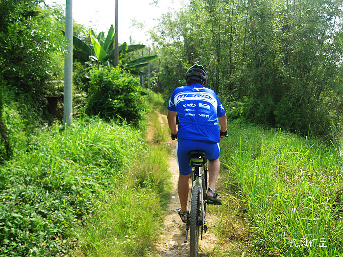 ������Խ�ڷ������Ӱ