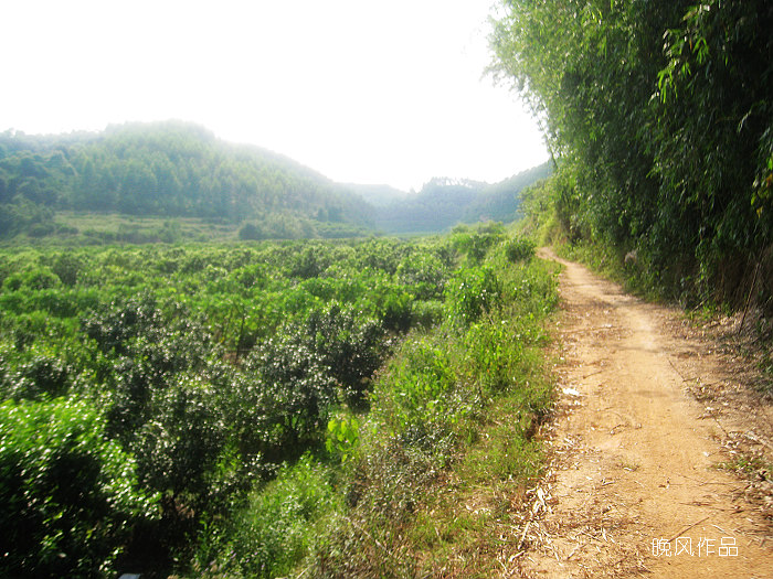 ����غ���������