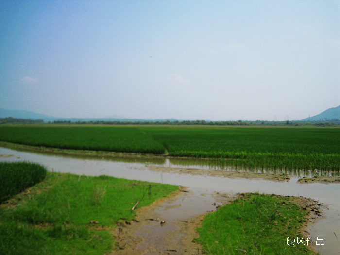 ��ֻ�����в������ֵ��ķ羰