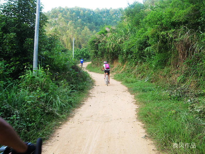 ���۶�����ɫ