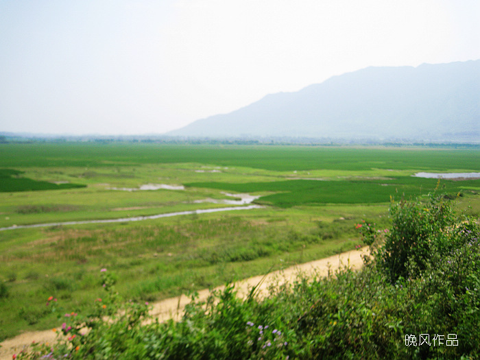 ԶԶ��ȥ����ĺ�����