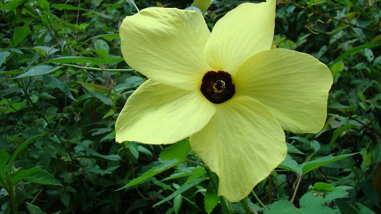 ·�ߵ�Ұ��Ϊ˭����Ϊ˭�ܣ���