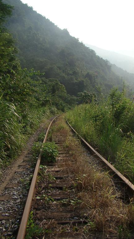 �����ķ���  ���Ĳ�ɣ