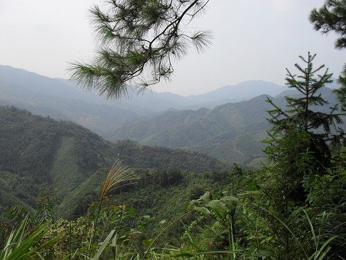 ��ɫ����