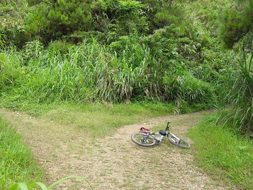 ��һ���ֲ�·��ת��ȥ�ۿ�