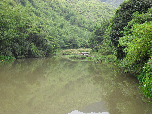 ��������ˮţ