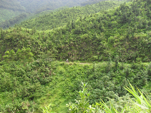 ��������ɽ