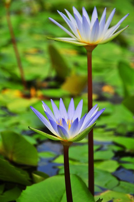 nEO_IMG_��Ƭ 076.jpg