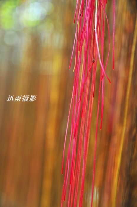 nEO_IMG_��Ƭ 104.jpg