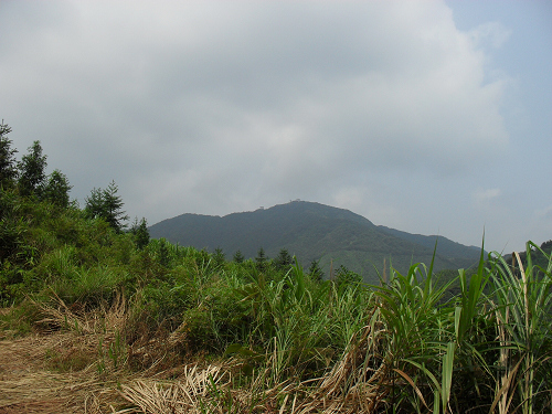 ң��Զ����206ɽ��