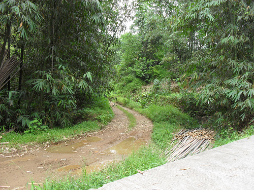 �������·��